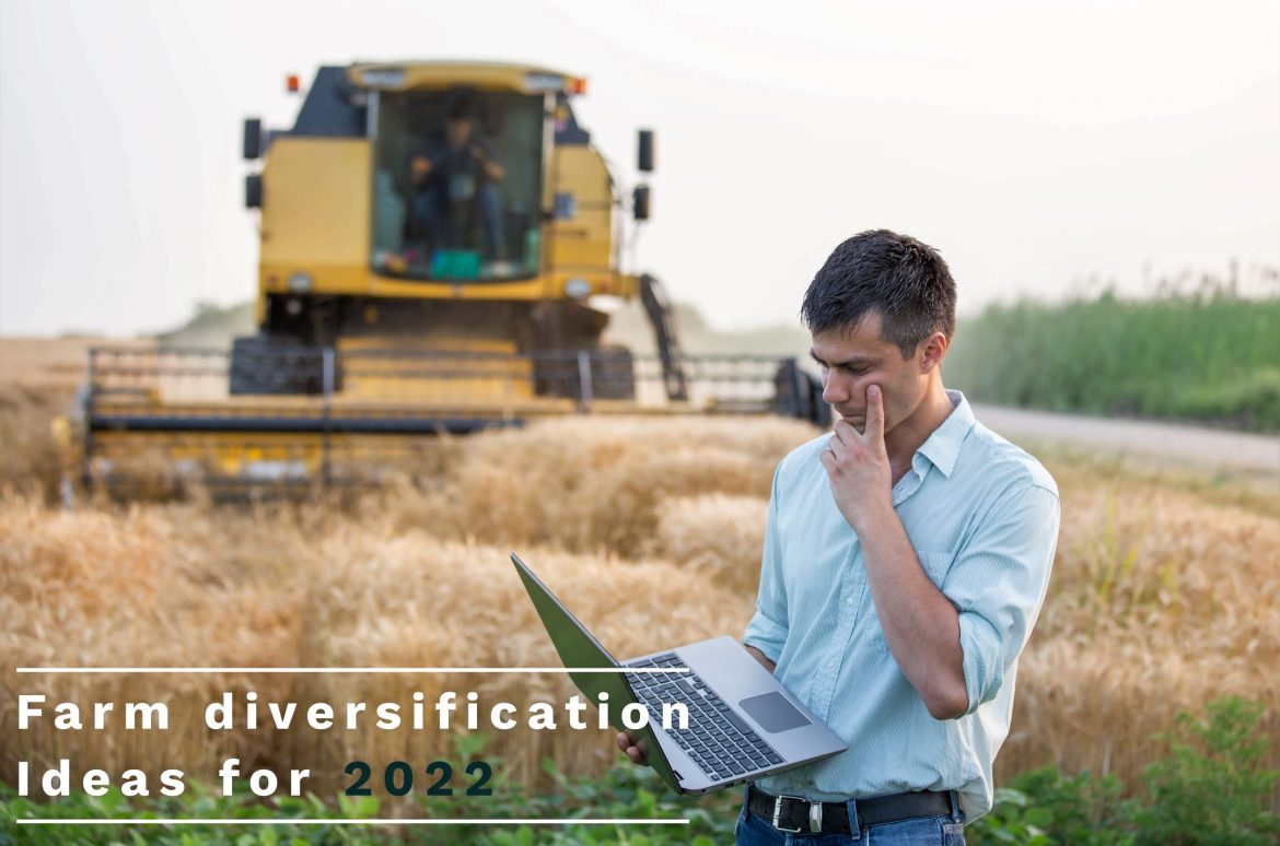 Ideas to Inspire Your Farm Diversification This Year