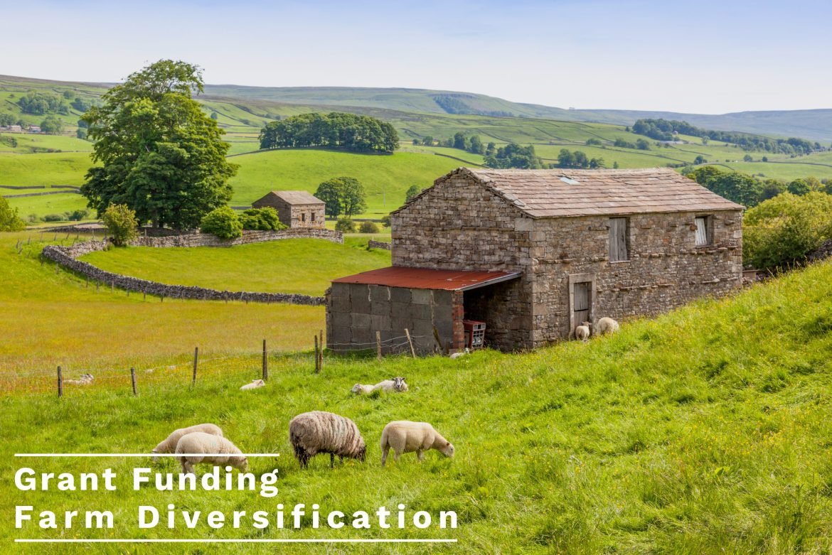 Grant Funding for Farm Diversification