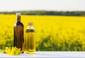 rapeseed-oil-scaled-1170x801