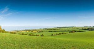 Rural England Prosperity Fund – Levelling Up the Rural Economy