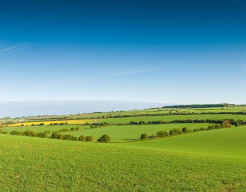 Rural England Prosperity Fund – Levelling Up the Rural Economy