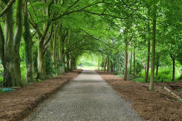 estate woodland driveway