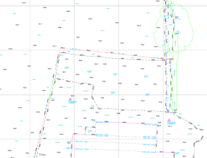 A picture of map in relevance to long-term diversification