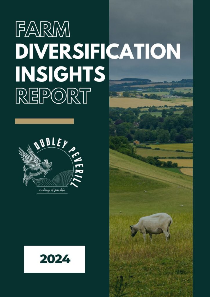 farm diversification report